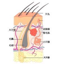 症状